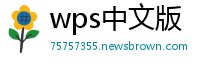 wps中文版